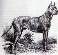 �����, ��. �������. ������ �������� ��� 