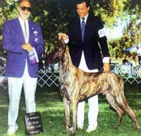 ������ �������� ��� 1992 �. DINRO McKENNA AGAINST ALL ODDS, �������� BROTHER (���). ������ �������� ��� 