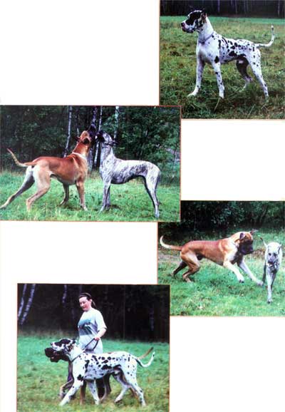 ������ �.����� ���������, ���� �.�����,  � ���-�����- ������-����. ������ �������� ��� 