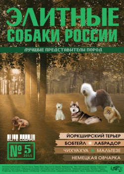 каталог собак, породы собак, элитные собаки россии