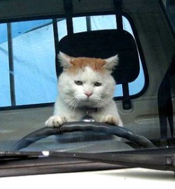 ��� ���������� �����, ������� ��� ��������� �����, ������ ��� ��������� �����, ����������� � ���������� � ������, ������� ������� � ������, ������� ��������� � ������