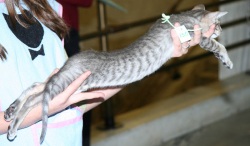 ���������� � �������� �����, ��� ����������� ����� � ��������, ������ �� ���������� � �������� �����