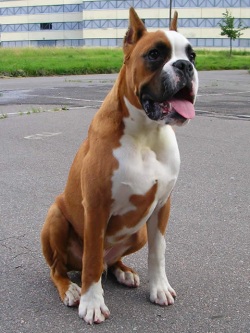 ��������� ����� � ������ � ������ �������, ��������� ����� � ��������, ��������� ����� � �������, ��������� � ����������, ��������� ����� �������� �� �������