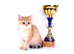 ������ �����, ����� ������ ��� ���������� ������, ��������� ����������, ������� �� ������, ����������� ������� ,������������, ������������ � ����������� �����, ������ �������� ������� � ����������� ��� ����� ����� �����