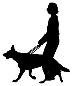 собаки поводыри, школы собак поводырей, обучение собак поводырей, подготовка собак поводырей, найдти собаку-поводыря