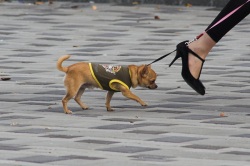 �������� �����, �������� �����, ��������� �������, ��������� �������