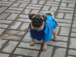 ������ ��� ����� ��������, ������ ��� ��������� �����, ����������� ��� �����