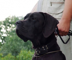 �������� ���, ������� ������ �������� ���, ������ ������ ������ �������� ���