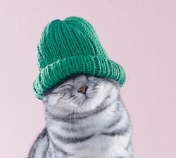 ����� �����, ����� ����� �����, ���������� ����� �����, ������ �����,
������ ����� 

