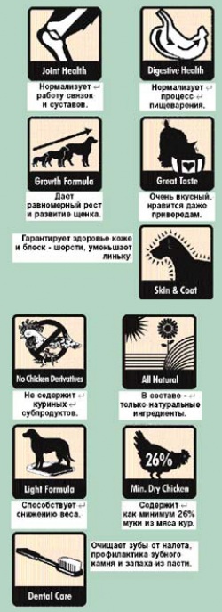 ���� �������, �����������, ������