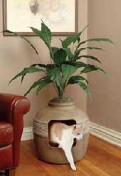 ������� ������, ����������� ��������� �������, ������� �����������, ������� �������, ����������� ��� �������� ��������, �����, �������������� �����������, ������: ����� �����, ������ ��������� �������