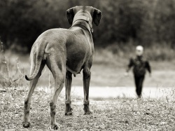 �������, �������� �����, �������� � ���������