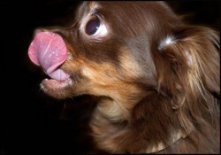 ������������ ���� ��������, ����������, ������� ������� ������ �� �� ������������