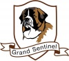 ���� ���������� ���������� �������� ����� Grand Sentinel