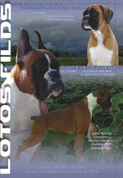 ���� ������������, ����������� ������� ����� �������� ����� ����� �����