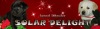  -   Solar Delight
