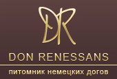      Don Renessans -    - 