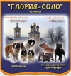 ���� ��������� �������� ����� Gloria-Solo