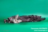 фото Американская короткошерстная питомник кошек INVERNESS