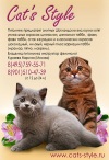  Cat's Style. ����������� ���������, ����������� ������, ���������� ���������������