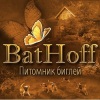 ���� �����  BatHoff
