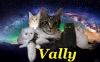     Vally