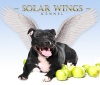  Solar Wings. ��������������� ����������   