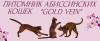 фото Абиссинская кошка питомник кошек Питомник абиссинских кошек "GOLD VEIN"
