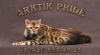  Arktik Pride. ����������� �����   