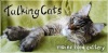  Talking Cats. ����-���   