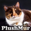        PlushMur