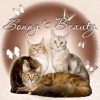  Bonny's Beauty. -