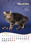        Nero Lince