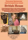  British House. ���������� ���������������
