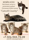  �������� ����� ������ ����-��� "Catsvill County" ����-��� - �������� ������!!!. ����-���