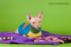 Фото Одежда для кошек на все случаи жизни. Москва