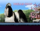 Фото Интернет-магази "Dream shop" Воронеж
