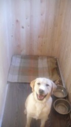 ���� ���������� � ��������� ����