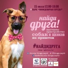 ���� �������� 15 ���� ������