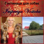 ���� ��������� ��� ����� (����������) ��������